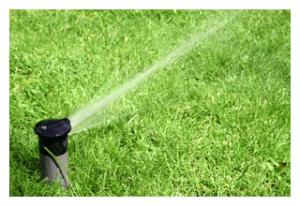 a pop up head hard at work on a residential lawn